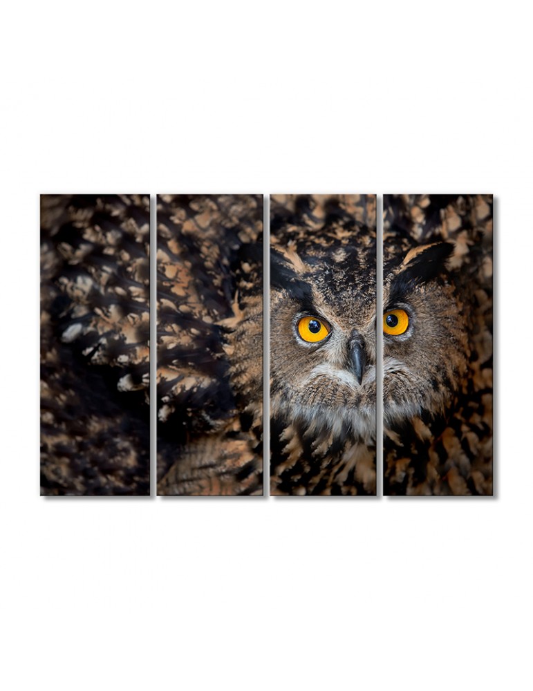 

Модульная картина Artel «Сова» 4 модуля 60x90 см