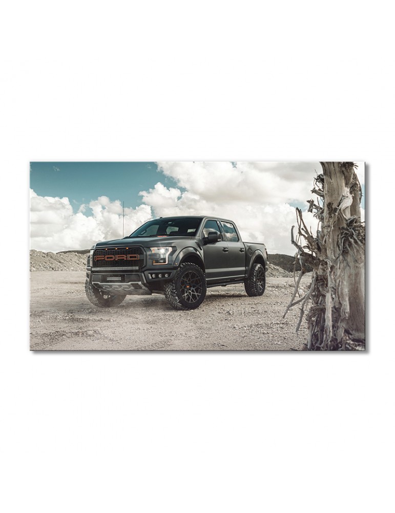 

Модульная картина Artel «Тюнинг Форд F-150 Раптор 2018» 1 модуль 70x105 см
