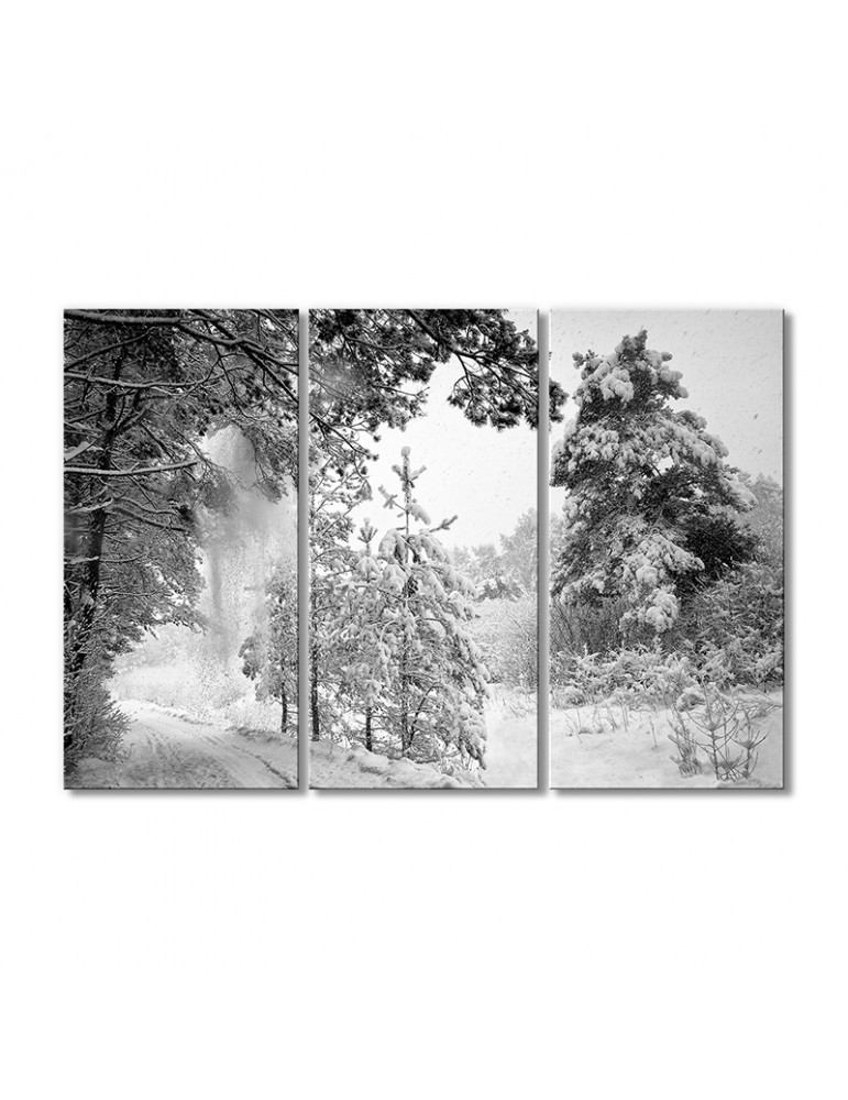 

Модульная картина Artel «Черно-белый зимний пейзаж» 3 модуля 90x135 см