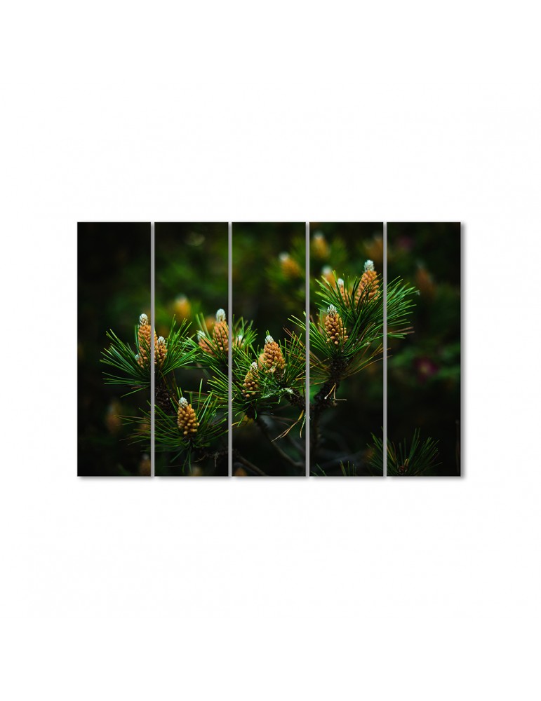 

Модульная картина Artel «Цветы сосны» 5 модулей 70x105 см