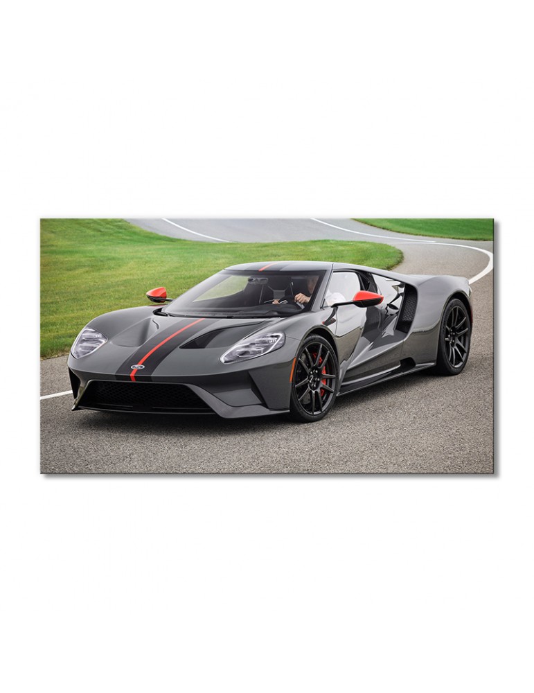 

Модульная картина Artel «Форд GT авто 2019 года» 1 модуль 70x105 см