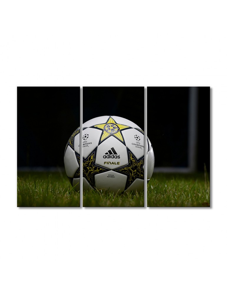 

Модульная картина Artel «Футбольный мяч на траве» 3 модуля 90x135 см