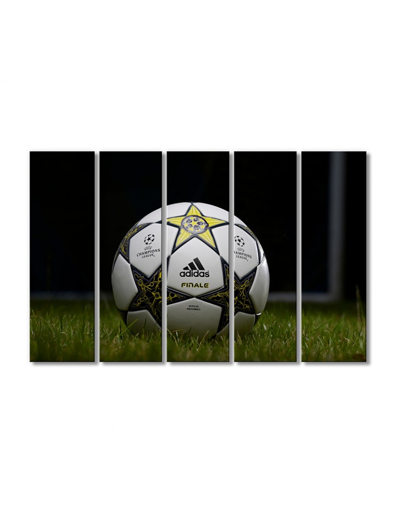 

Модульная картина Artel «Футбольный мяч на траве» 5 модулей 90x135 см