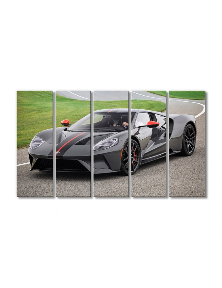 

Модульная картина Artel «Форд GT авто 2019 года» 5 модулей 70x105 см