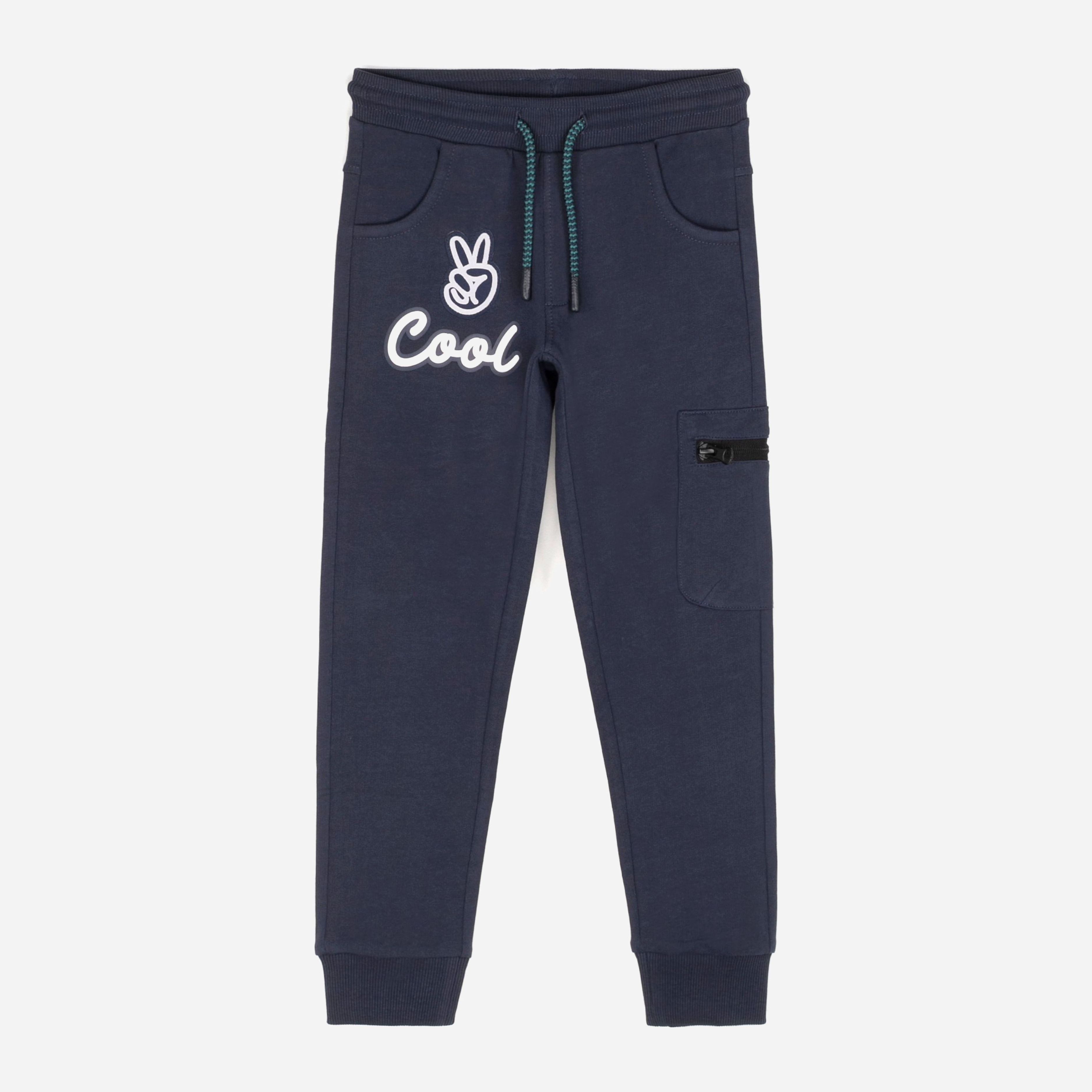 

Спортивные штаны Coccodrillo King Of Cool ZC1120104KIN-015 116 см Синие