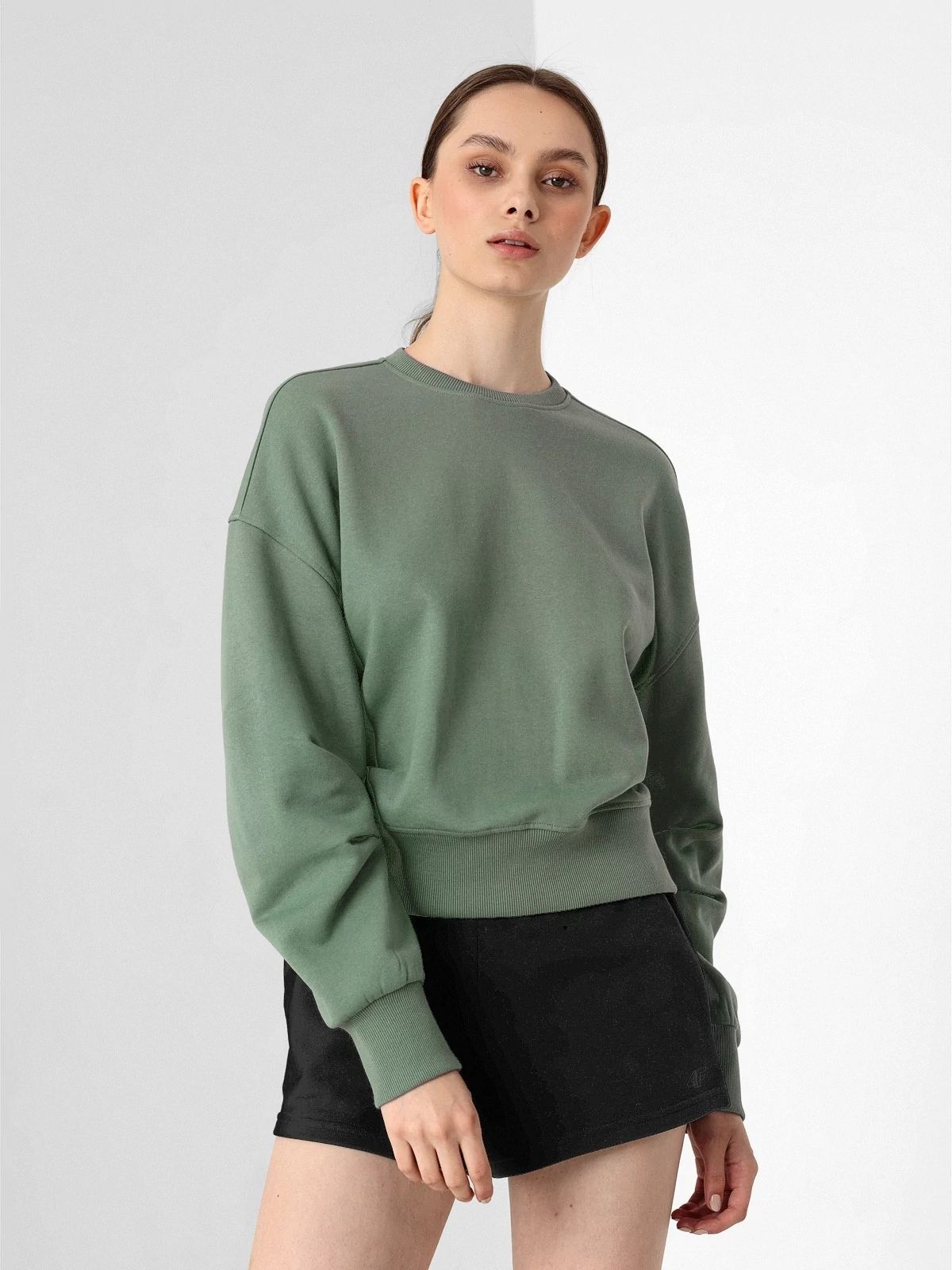 

Свитшот 4F H4Z21-BLD019-42S  Light Green, Свитшот 4F H4Z21-BLD019-42S 2XL Light Green
