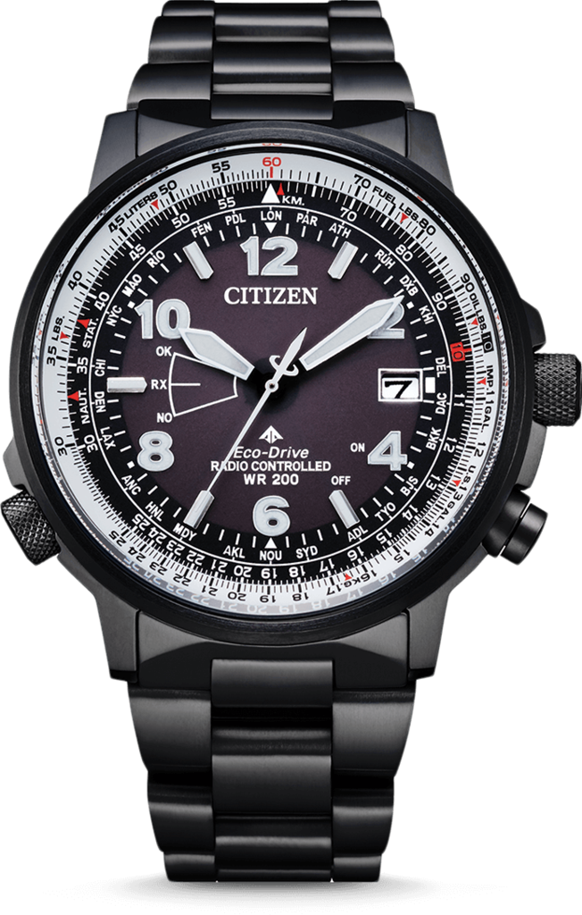 

Часы CITIZEN CB0245-84E