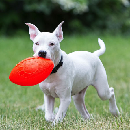 

Игрушка для собак поиграем в футбол JOLLY FOOTBALL оранжевый Jolly Pets BGL-JP-184