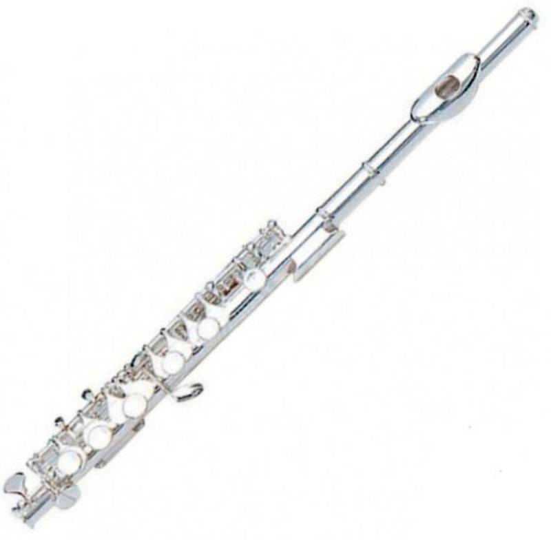 

Флейта MAXTONE TFC53N/1 78159