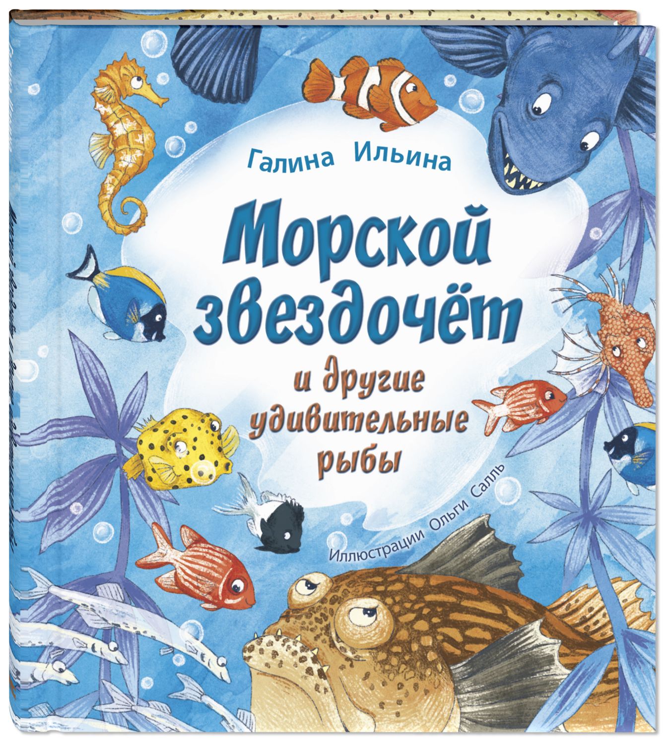 

Морской звездочёт и другие удивительные рыбы