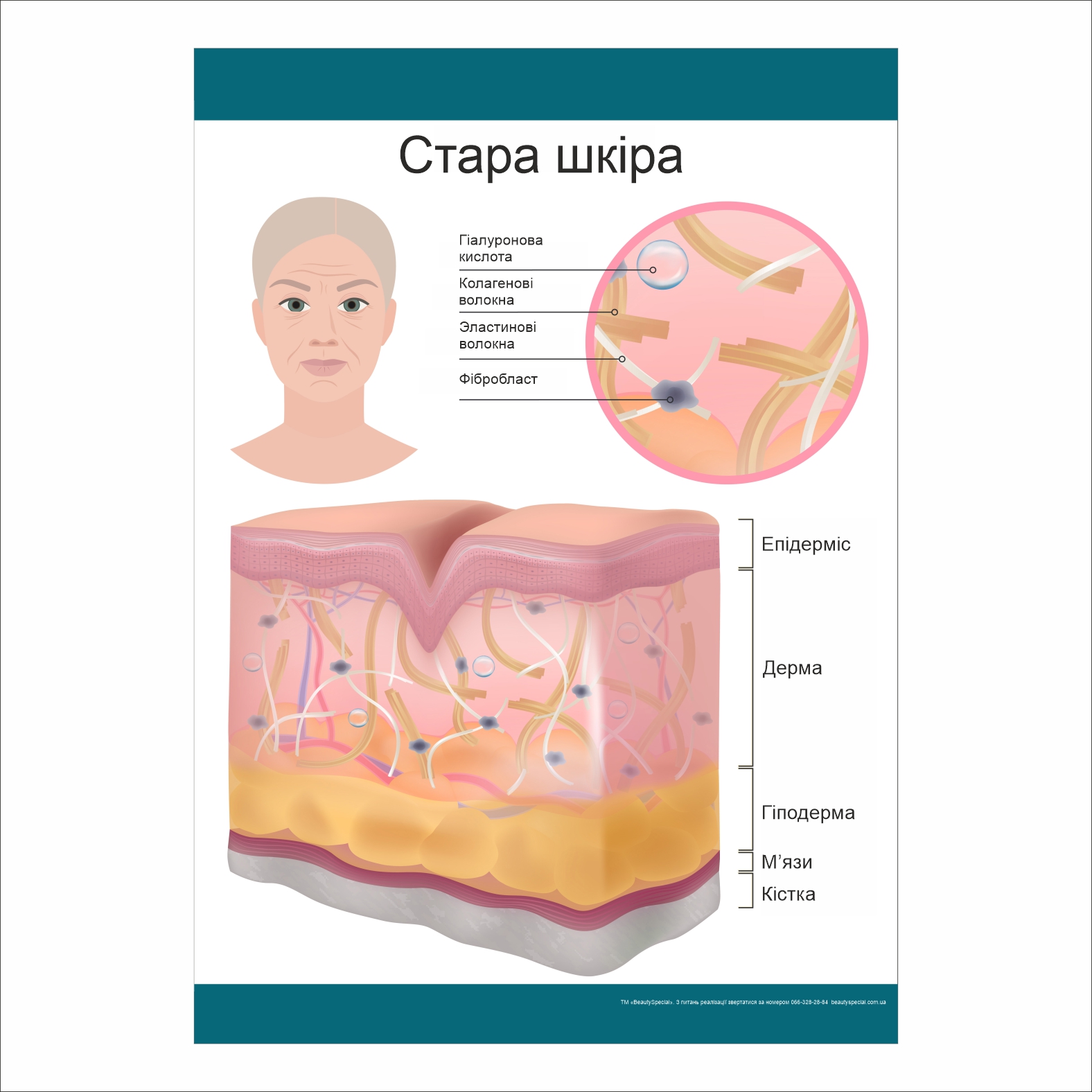 

Плакат Beauty Special “Стара шкіра” А0 (9448)
