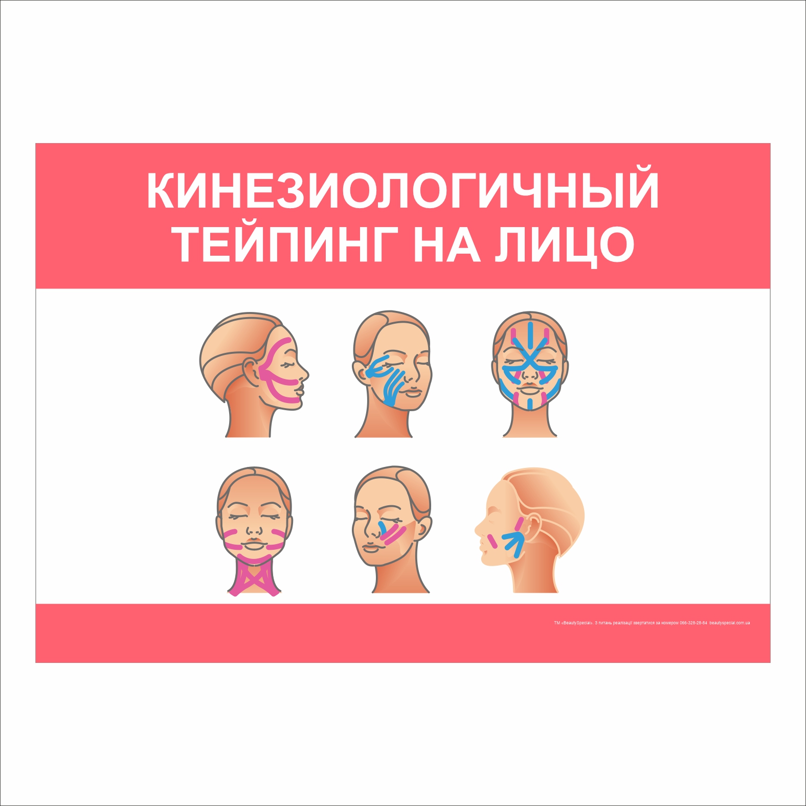 

Плакат Beauty Special “Кинезиологичный тейпинг на лицо” А0 (9373)