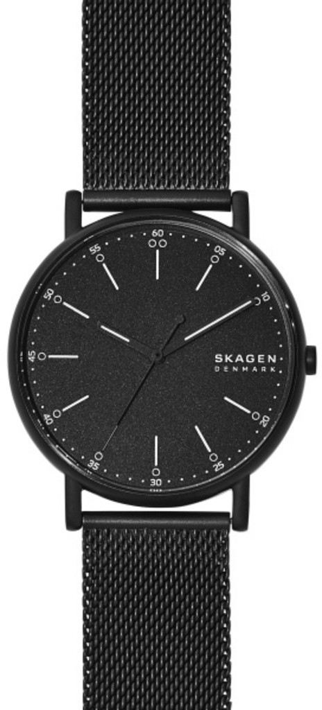 

Часы SKAGEN SKW6579