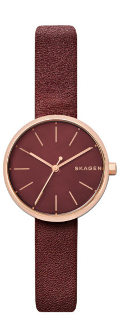 

Часы SKAGEN SKW2646