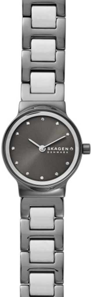 

Часы SKAGEN SKW2831