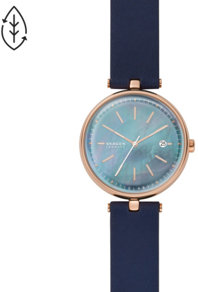 

Часы SKAGEN SKW2981