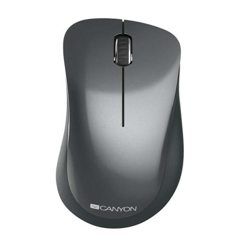 

Мышь беспроводная Canyon CNE-CMSW11B Black USB