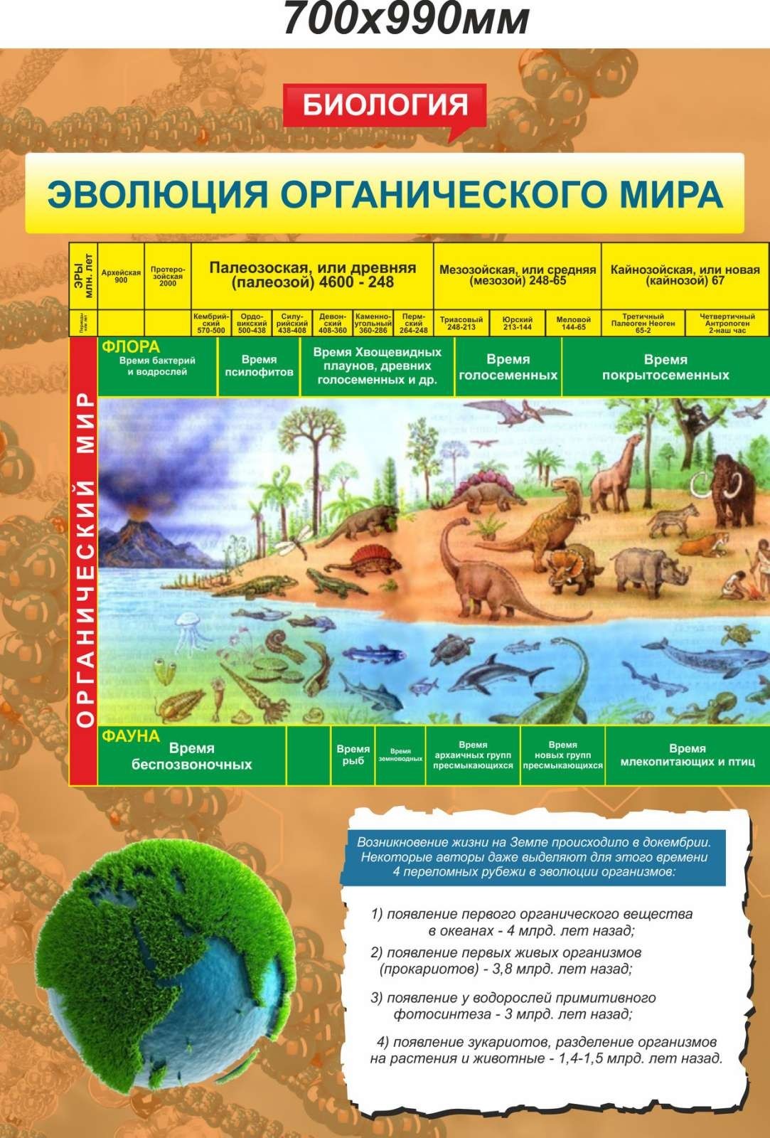

Стенд Vivay Эволюция органического мира 70x99 см (7526)