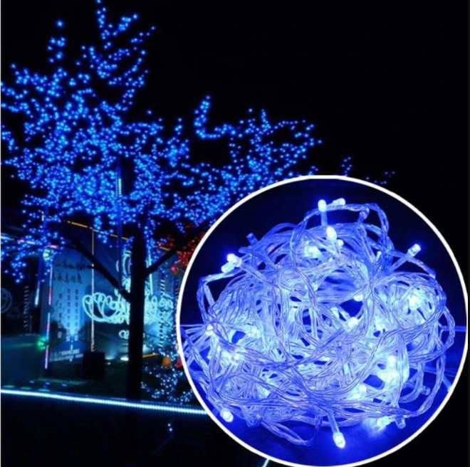 

Гирлянда улица 100LED 10м Провод-Белый Garland RD-7098 Цвет ламп-Синий (М-406)