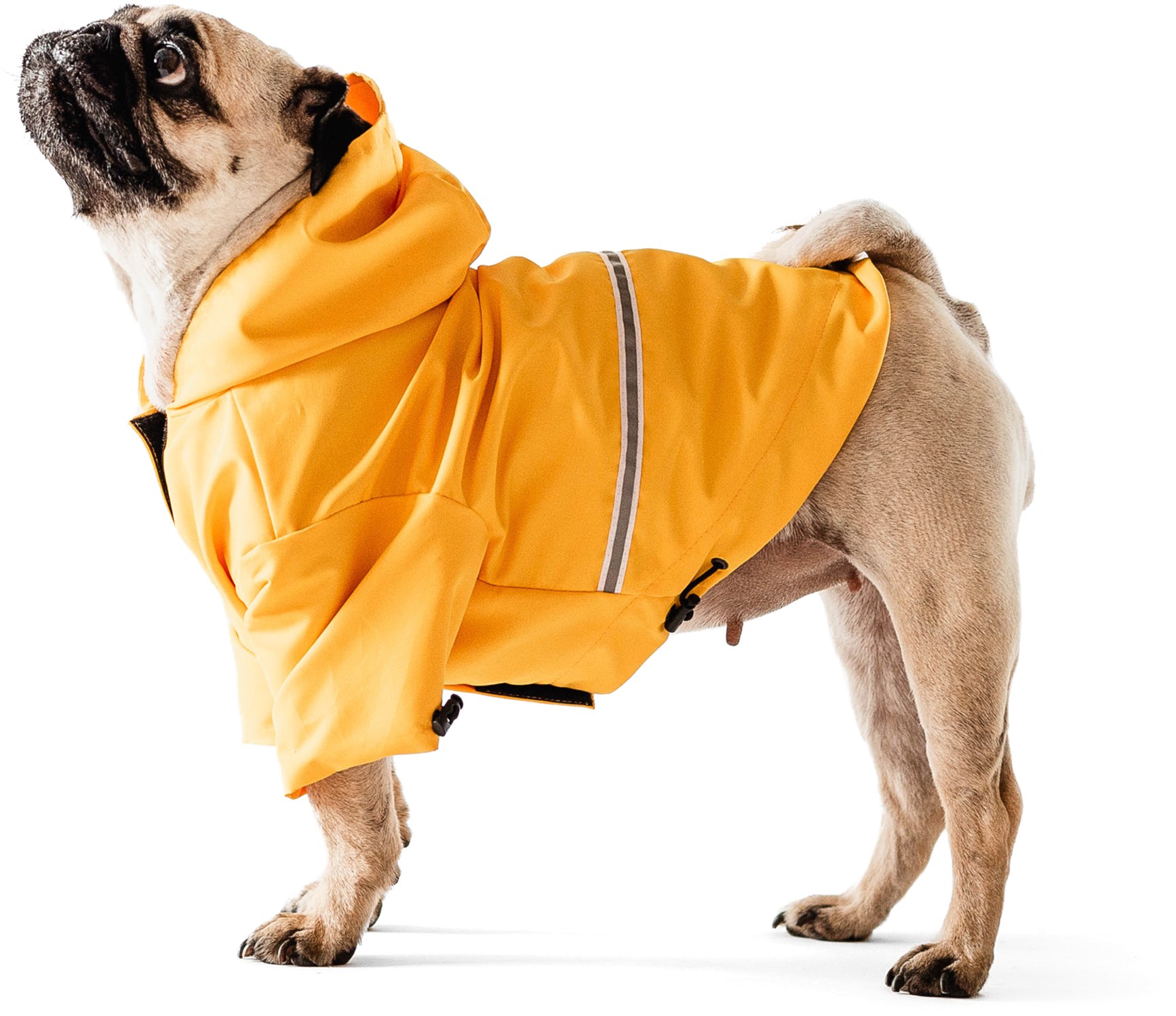 

Дождевик Noble Pet Moss Yellow M4108/L-Short