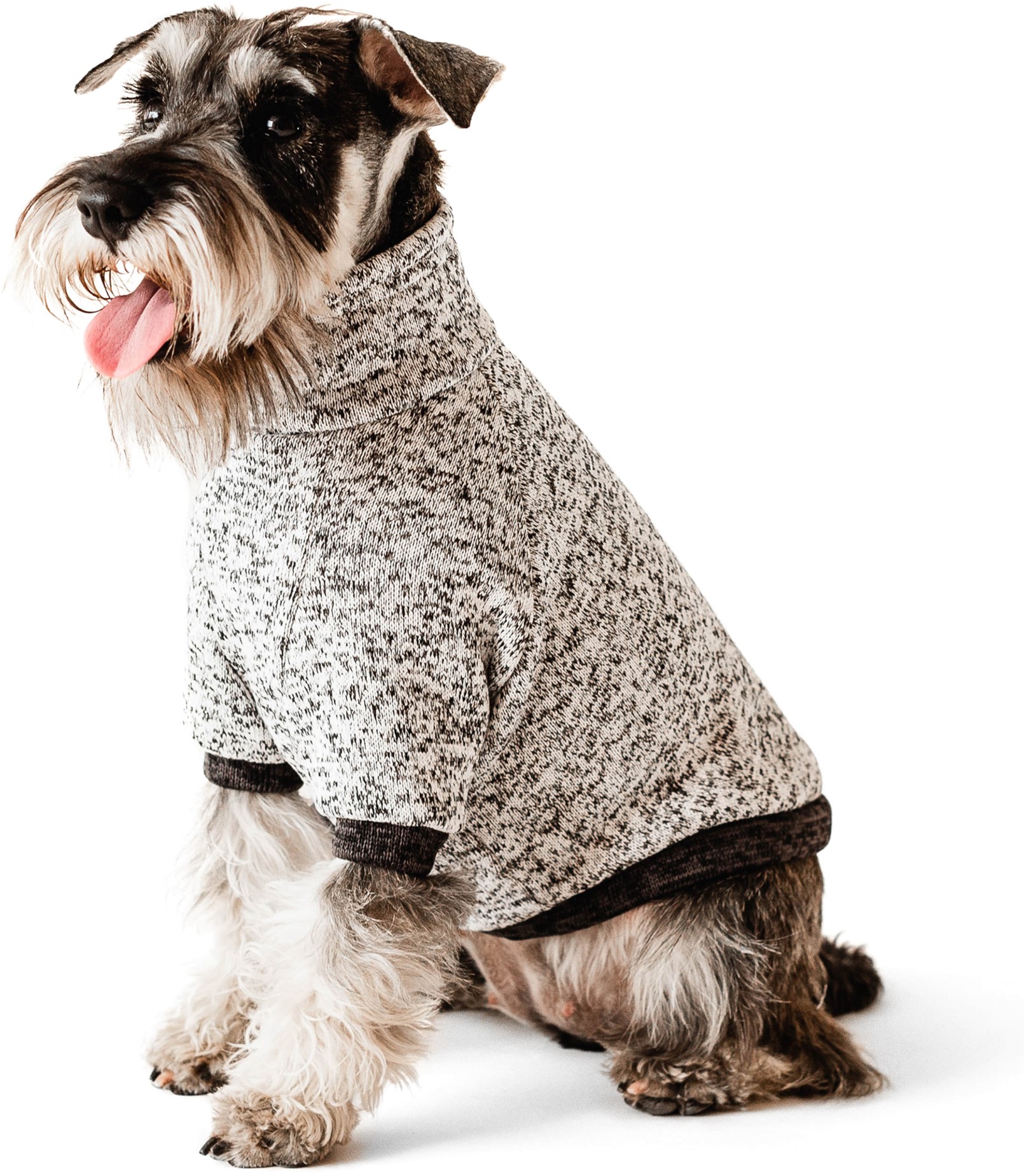 

Свитшот Noble Pet на флисе Frederick Grey FR4111/XL