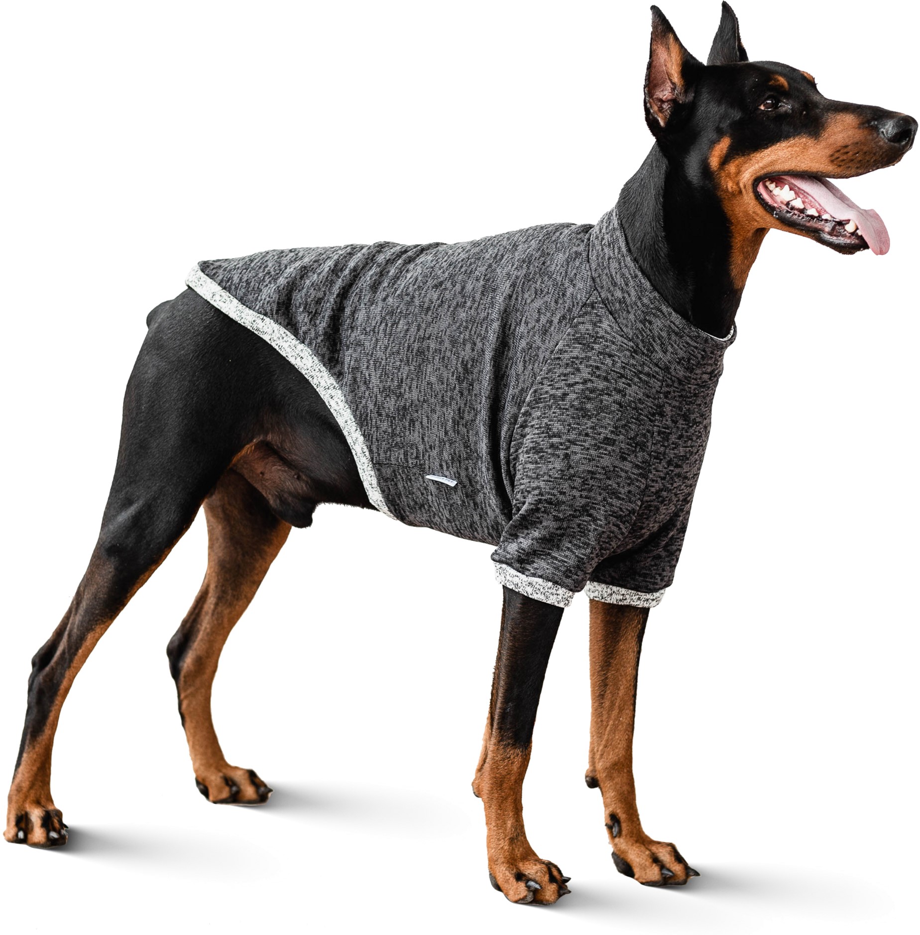 

Свитшот Noble Pet на флисе Frederick Dark Grey FR4112/3XL