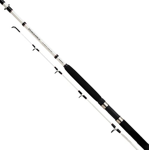 

Удилище Shimano Vengeance AX Boat 2.70m 300g