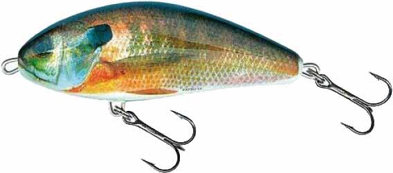 

Воблер Salmo FATSO 10 см RS (F10S-RS)