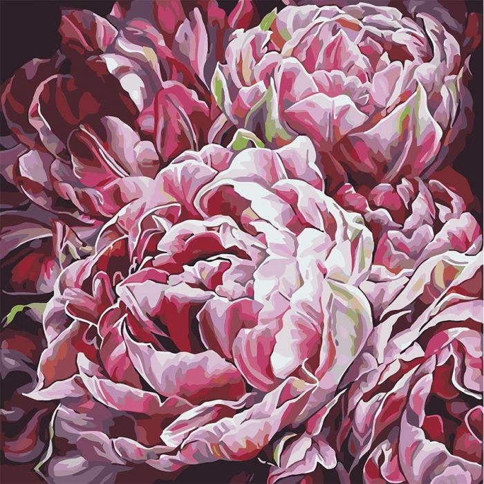 

Картина по номерам. "Распустившийся бутон" 40*40см