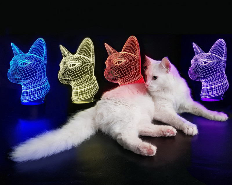 

Детский ночник - светильник "Кошечка" 3DTOYSLAMP