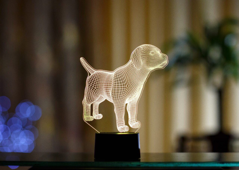 

3D светильник "Лабрадор" 3DTOYSLAMP