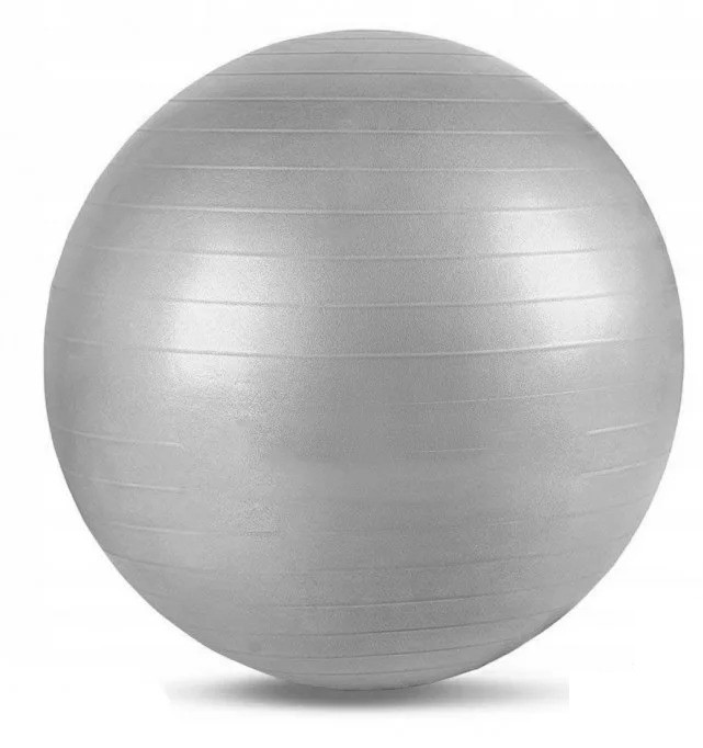 

Мяч для фитнеса (фитбол) SportVida Ø 65 см Anti-Burst Grey ( SV-HK0288 )