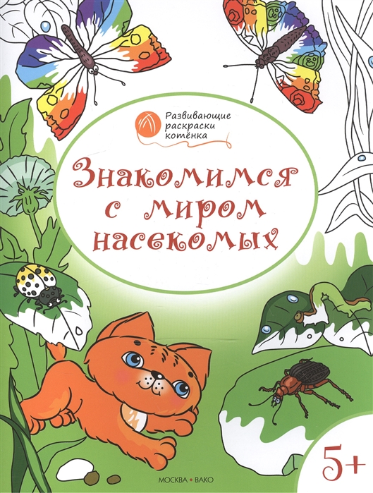 

Знакомимся с миром насекомых. Развивающие раскраски для детей 5-6 лет