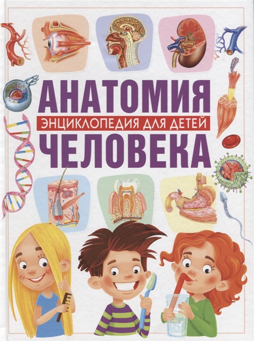

Анатомия человека. Энциклопедия для детей