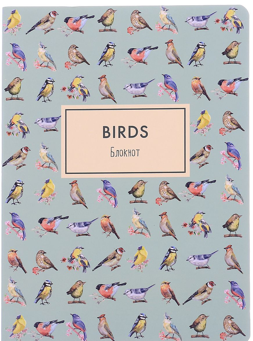 

Birds. Блокнот