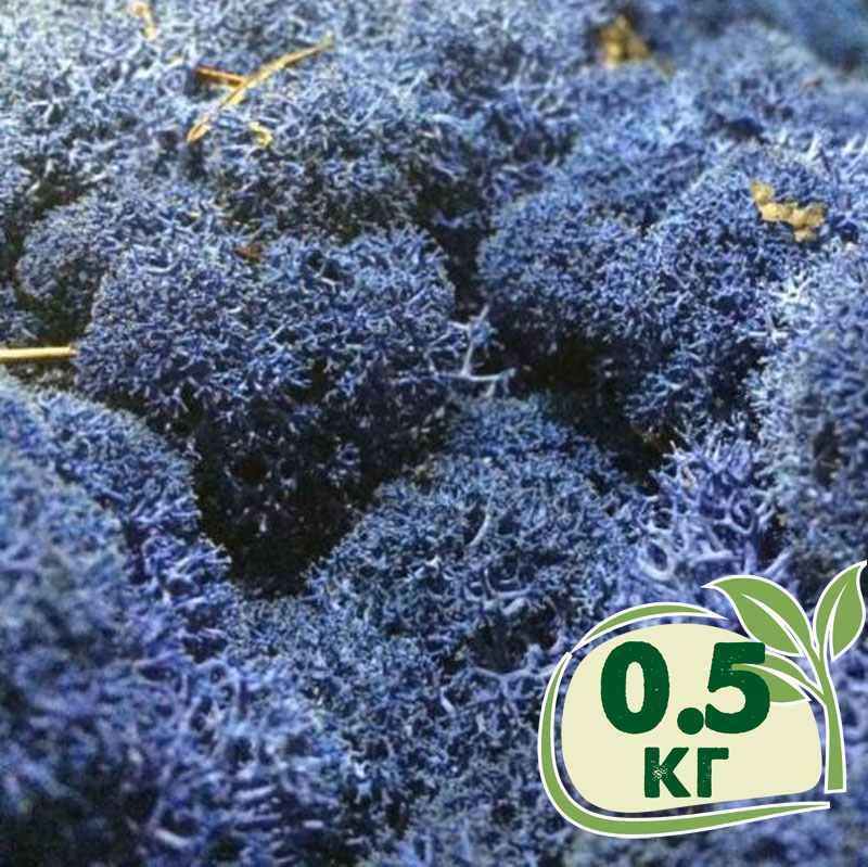 

Стабилизированный мох ягель Nordic moss Синий лазурный 0,5 кг