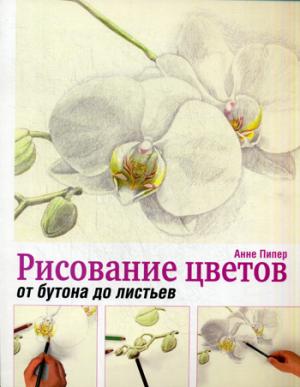 

Рисование цветов от бутона до листьев. Руководство (1047561)
