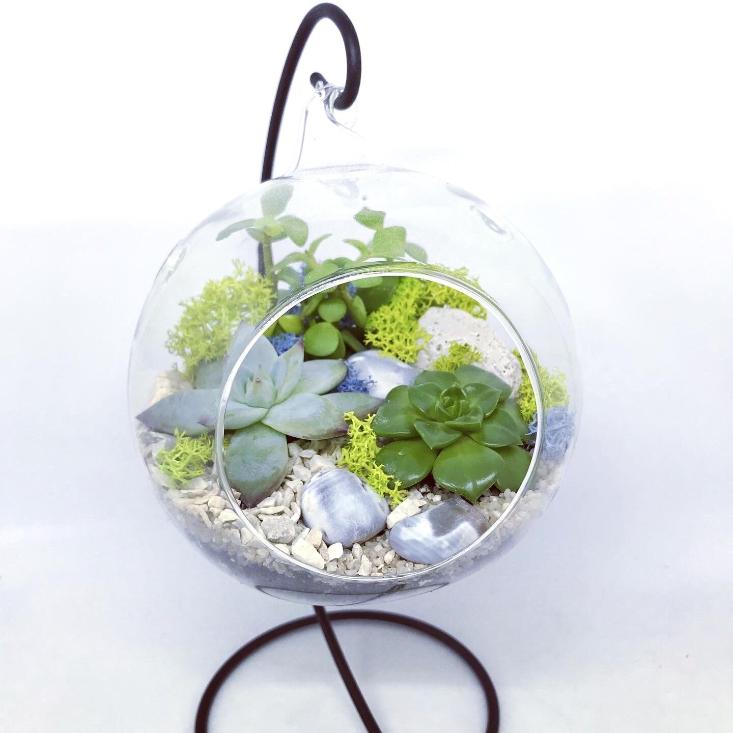 

Флорариум Garden mix в круглом аквариуме с подвесом М
