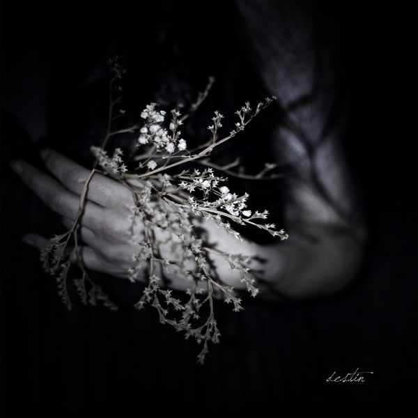 

CLOUDS – Destin