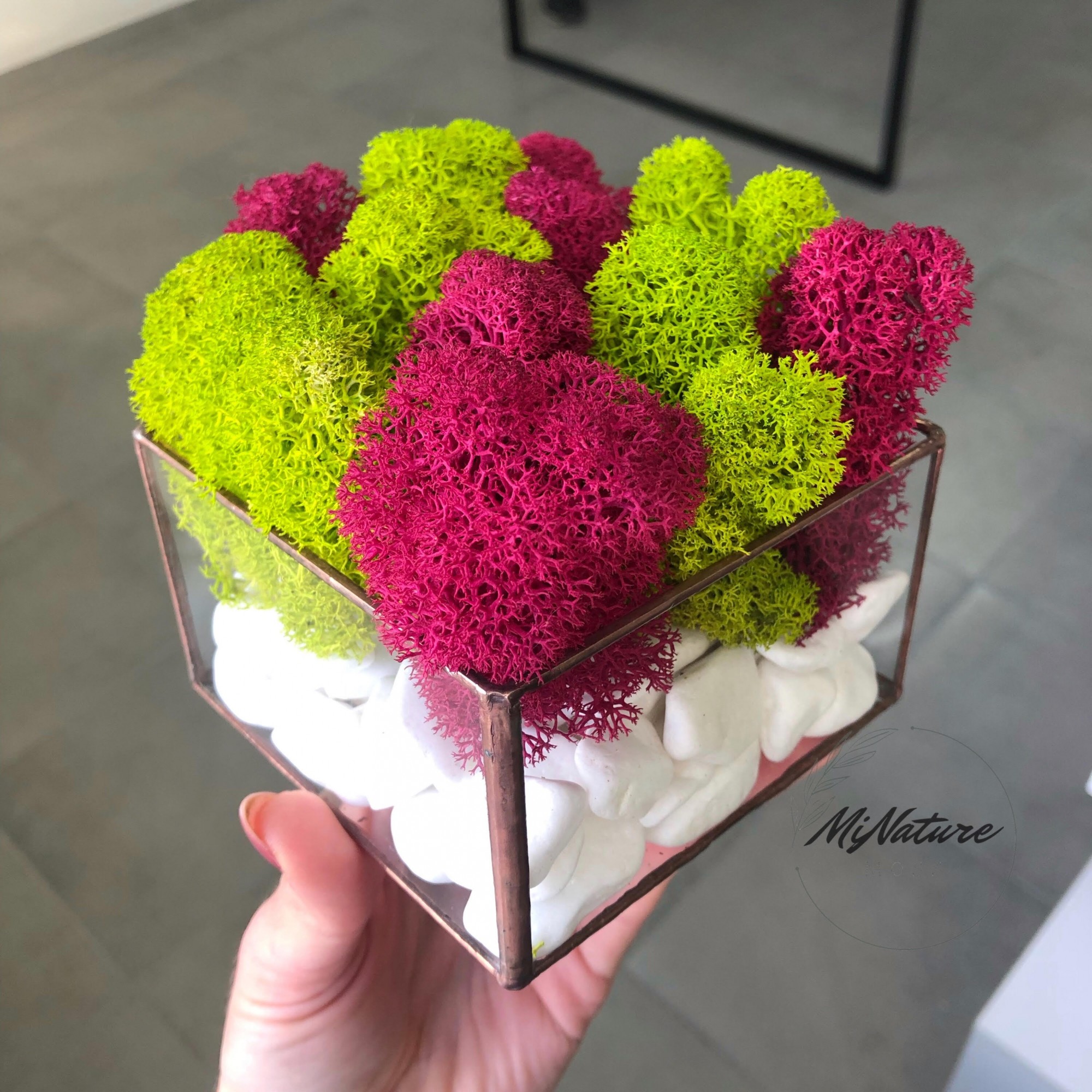 

Моссариум со стабилизированым мхом MiNature Moss 10см