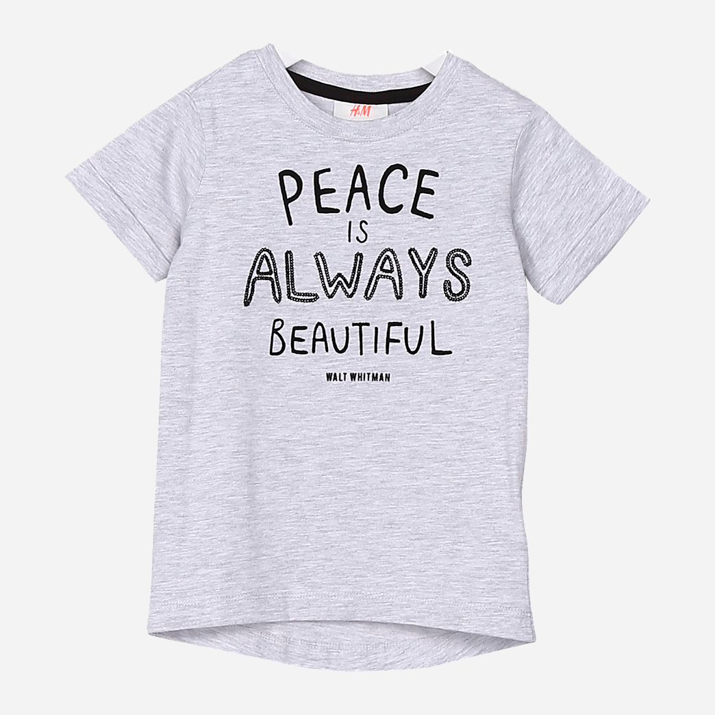 

Футболка H&M 7Z6324957 98-104 см Серая