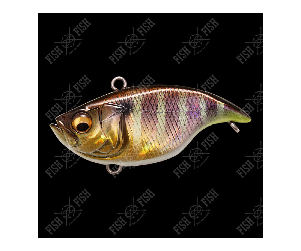 

Воблер Megabass VIBRATION-X DYNA (SILENT) col. GG GILL (арт.1234909932063)