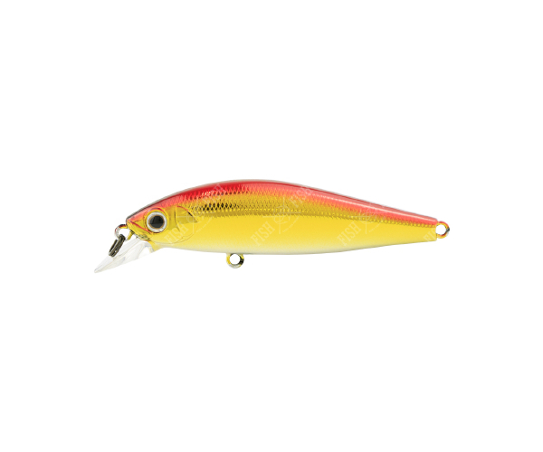 

Воблер ZipBaits Rigge Flat 60S # 703 (арт.1234909932921)