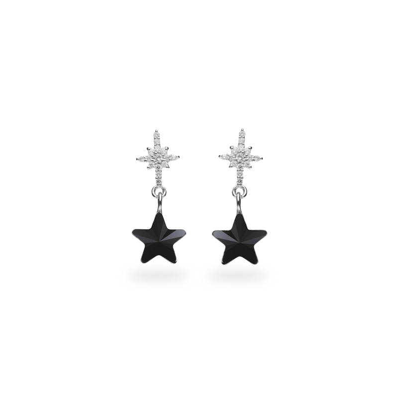 

Серебряные серьги SPARK Stella со Swarovski модели KC474510J