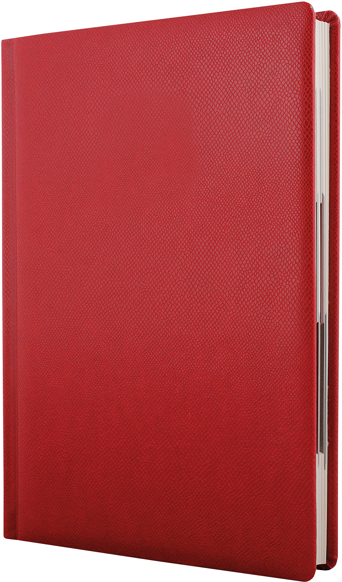 

Ежедневник недатированный Optima Lizard А5 320 страниц в клетку Красный (O25403-03)