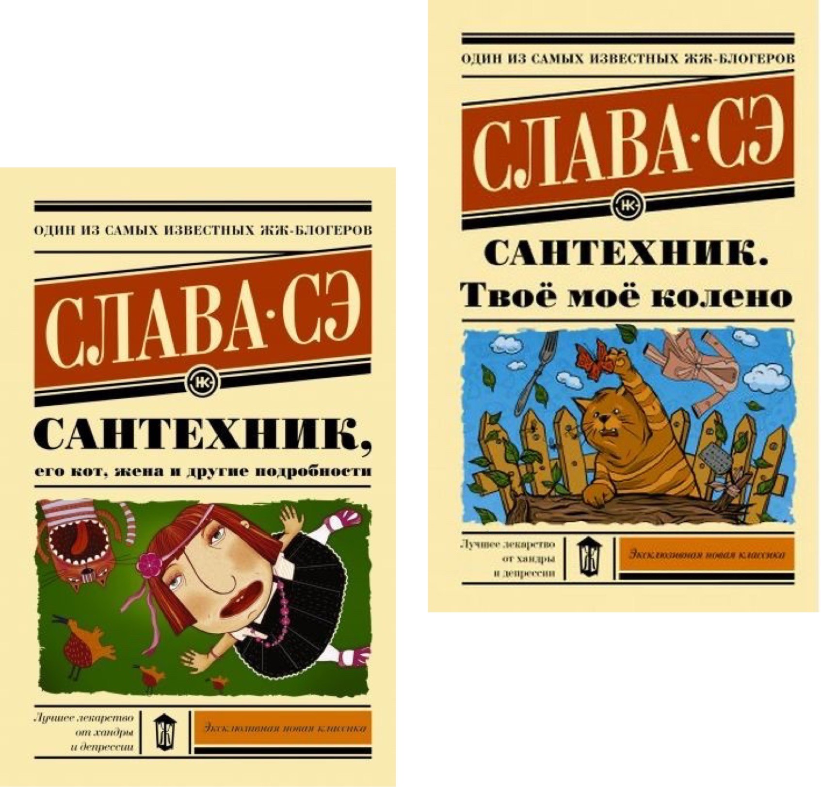

Набор книг Сантехник его кот жена и другие подробности Сантехник твоё моё колено - Слава Сэ
