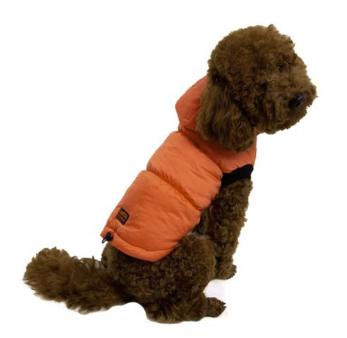 

Жилет для собак Orange Size 2-8 (-)