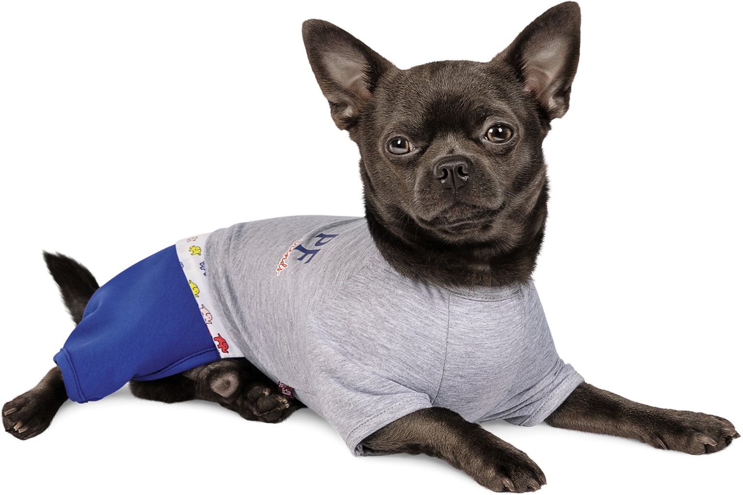 

Костюм Pet Fashion Орион XS