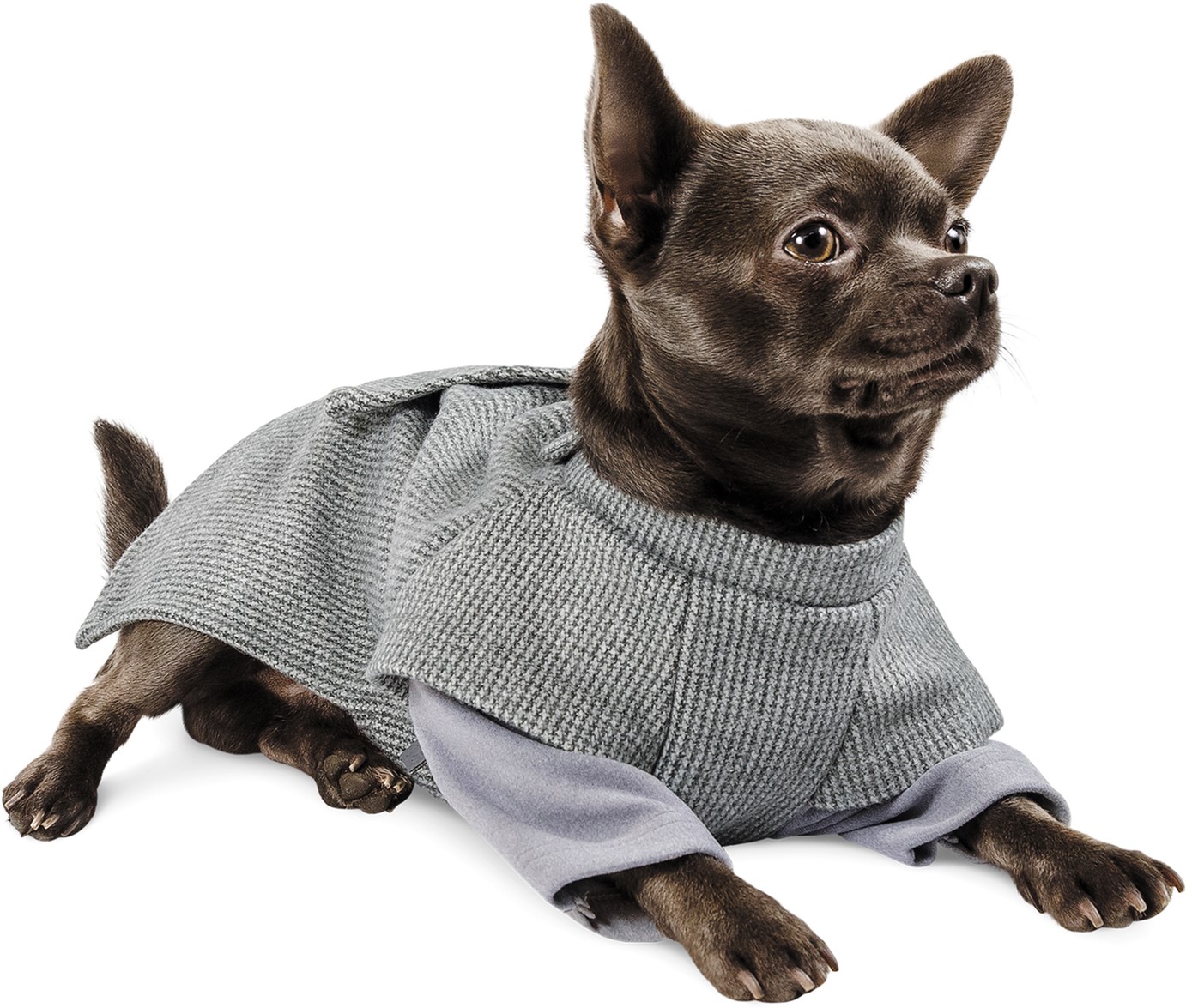 

Жакет Pet Fashion Шаттл S