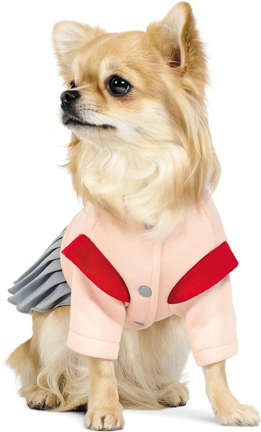 

Костюм Pet Fashion девочка Спейс ХXS